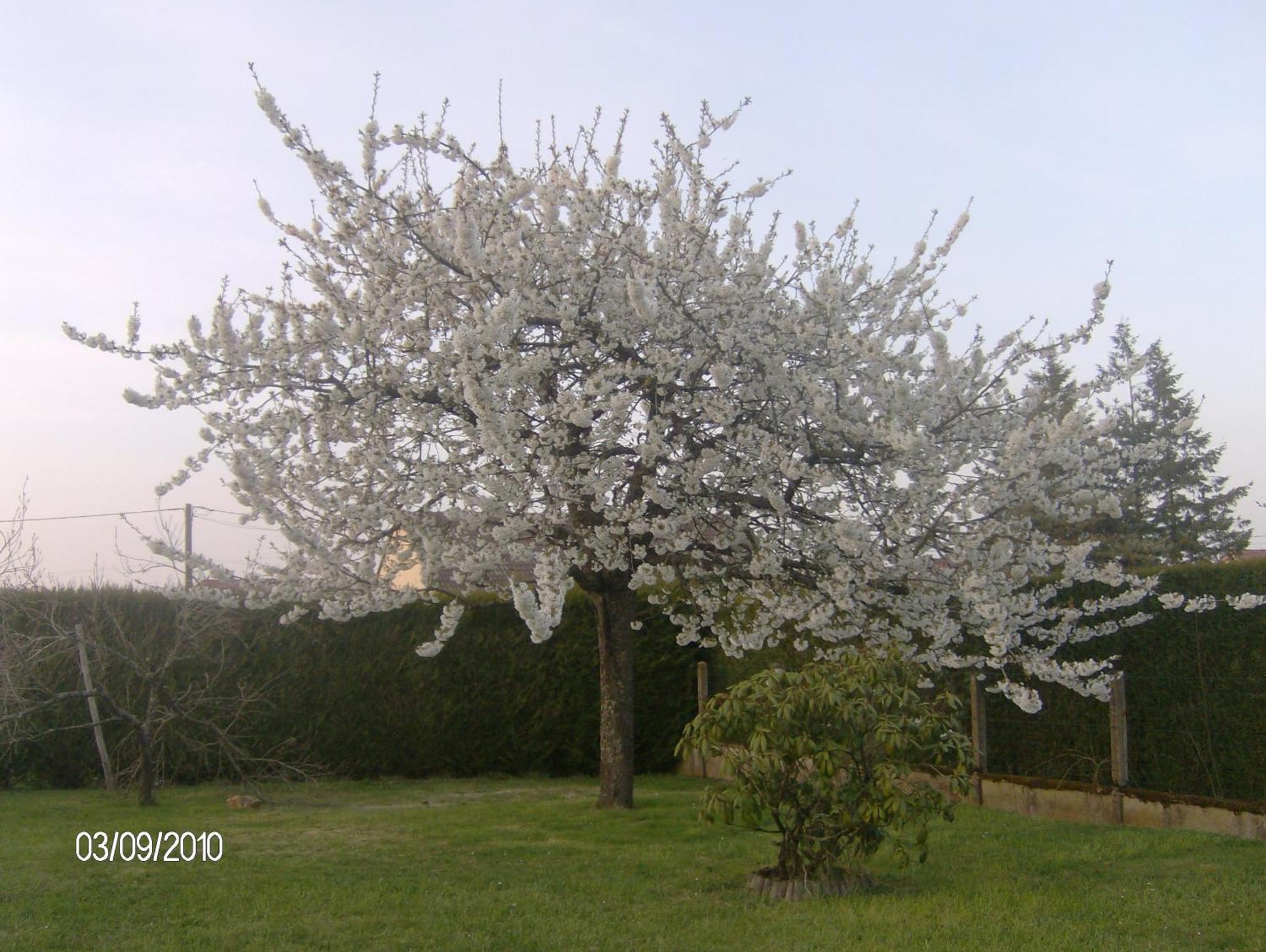 Nuitee Zen Apartment Montigny-le-Chartif Luaran gambar